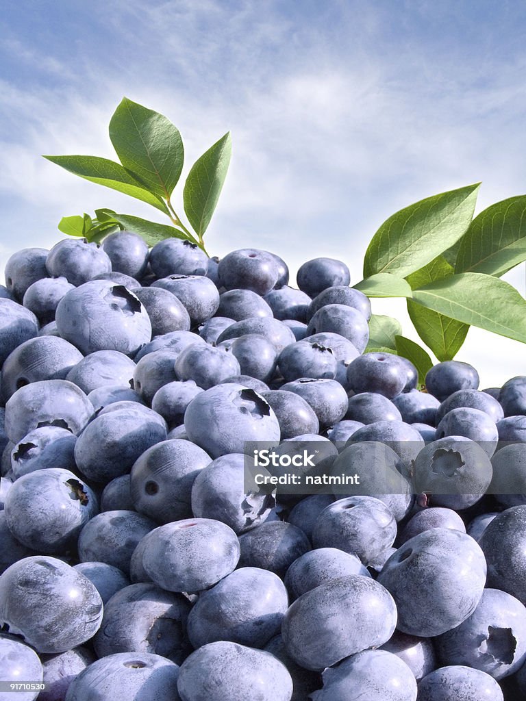 Arándanos - Foto de stock de Antioxidante libre de derechos