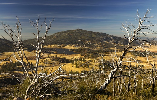 Dead Winter Trees and Landscape Scenic View of Distant Lake Cuyamaca in east San Diego County from Stonewall Peak Hiking Trail in Rancho Cuyamaca State Park