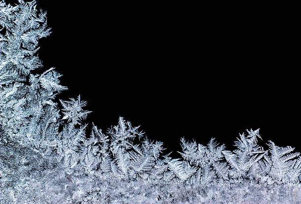 iceflower - escarcha fotografías e imágenes de stock