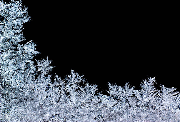 iceflower - frost стоковые фото и изображения