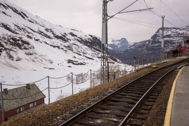 kolej na stacji myrdal do wioski flam, norwegia - lee street station zdjęcia i obrazy z banku zdjęć