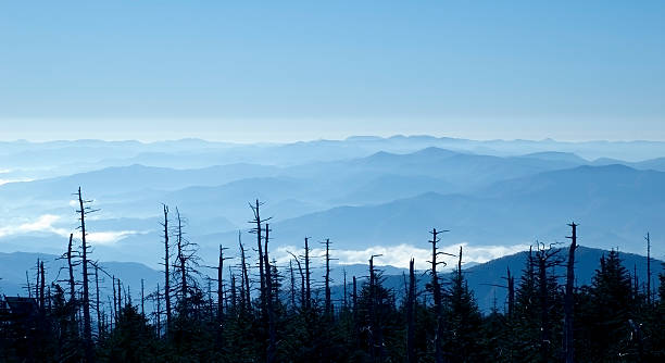 catena montuosa del blue ridge - blue ridge mountains autumn great smoky mountains tree foto e immagini stock
