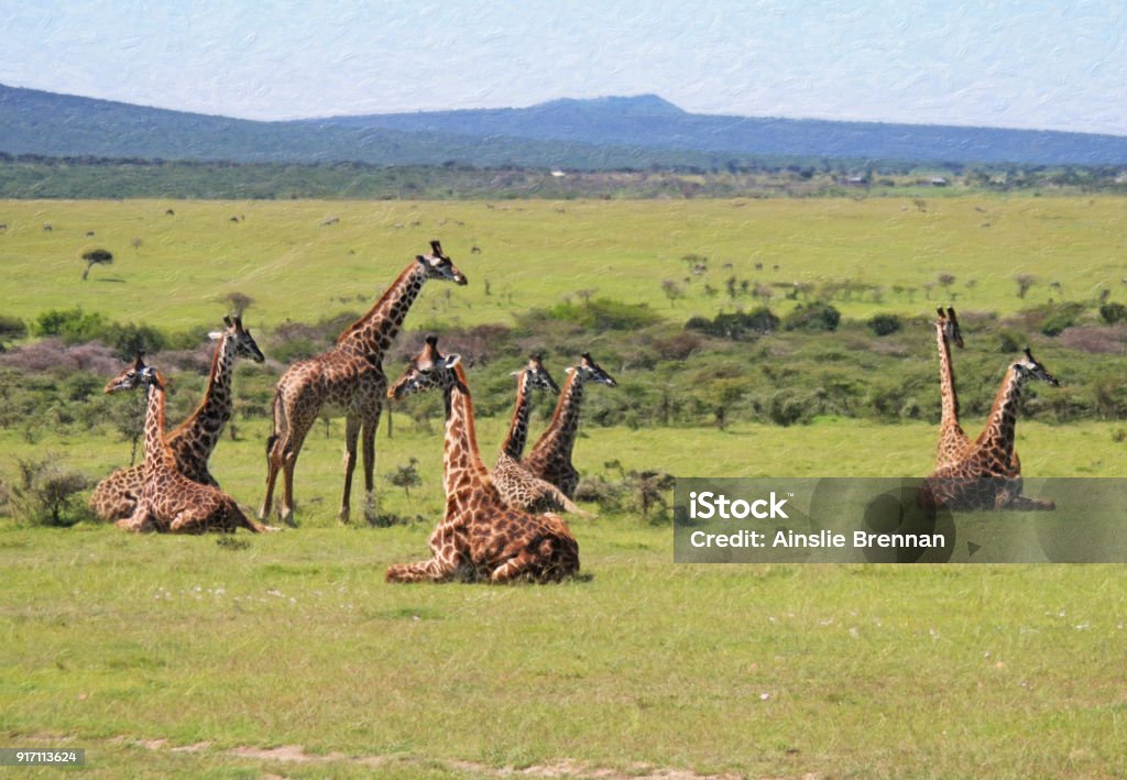 Tower of Baby Giraffes I took this photo of a herd or tower of baby giraffes while on a safari in Tanzania in 2015. 2015 Stock Photo