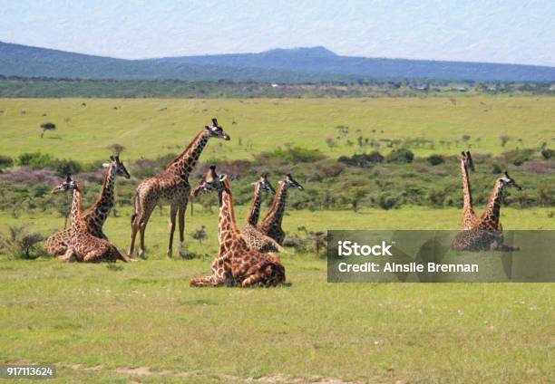 Tower Of Baby Giraffes Stock Photo - Download Image Now - 2015, Acacia Tree, Animal