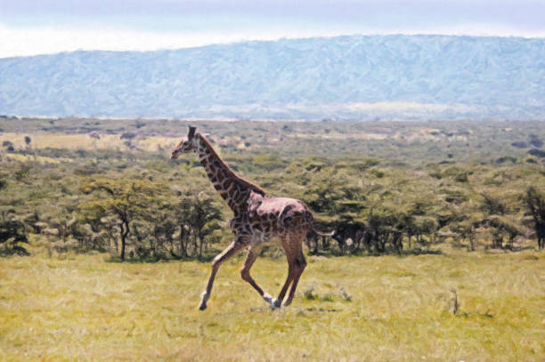 istock Giraffe Running Across the Savannah 917113636
