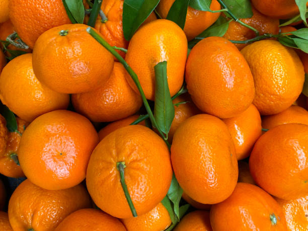 istock A large group of oranges and vines background wallpaper 917119600