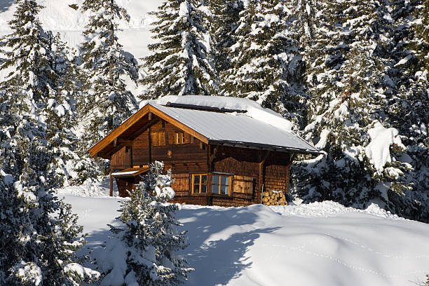 Lonely inverno cottage na floresta. - foto de acervo