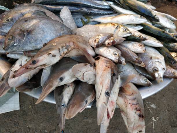 istock Seafood background food 917125954
