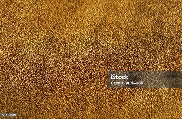 Leather Texture Stock Photo - Download Image Now - Abstract, Animal, Animal Skin