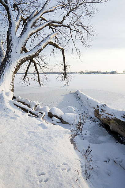 istock Tracks in the snow 91712960