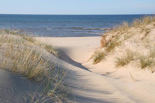 istock Way through sand dunes to the sea 91713212