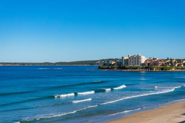 istock Ocean view landscape with beach and waterfront property 917132210