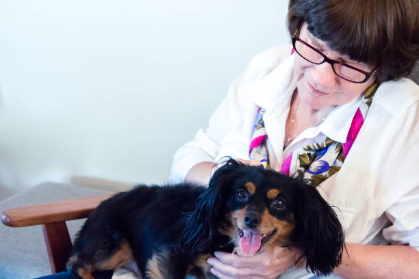istock Senior woman holding a small mixed breed dog 917132428