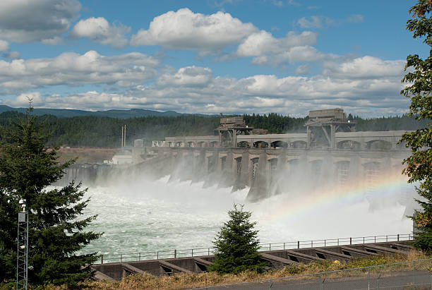 barragem hidroelétrica - oregon forest hydroelectric power columbia river imagens e fotografias de stock