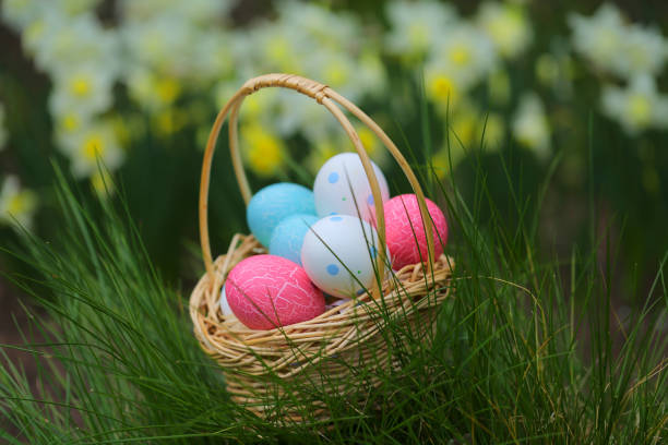 istock Easter concept.basket with Easter blue and pink eggs in green grass on floral background. Easter mood 917132708