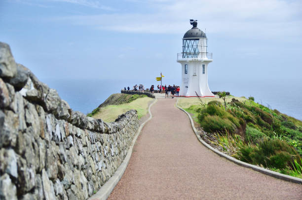 istock Cape Reinga Lighthouse, New Zealand 917142188