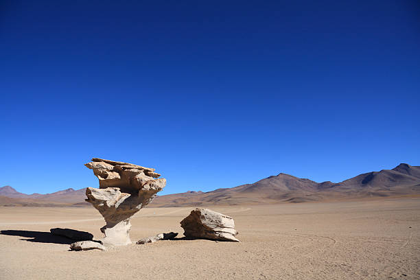 chile de árbol de piedra ((stone árbol - bizarre landscape sand blowing fotografías e imágenes de stock