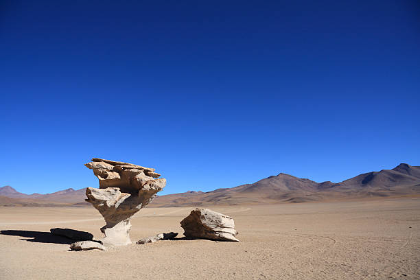 piment arbol de piedra ((stone tree - bizarre landscape sand blowing photos et images de collection