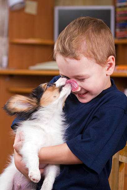 Puppy licking childs face stock photo