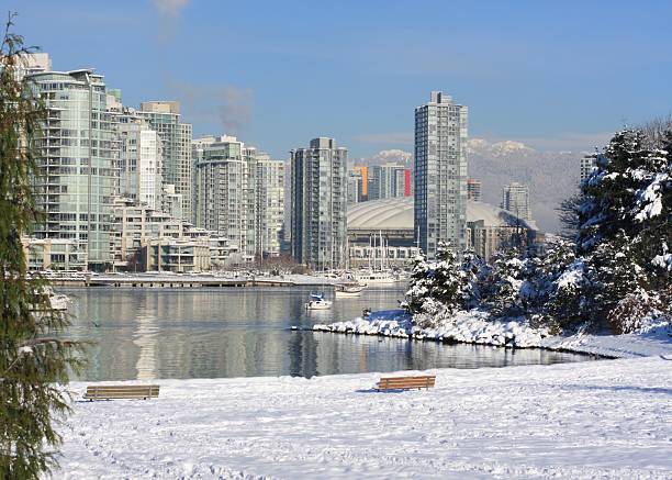 cena de inverno em lc1242, vancouver, colúmbia britânica, canadá - snow winter bench park imagens e fotografias de stock