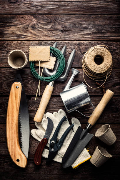 istock gardening tools on dark wooden background with space for text top view 917152826