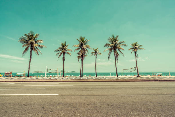 sunny day with palms on ipanema beach in rio de janeiro, brazil - rio de janeiro copacabana beach ipanema beach brazil imagens e fotografias de stock