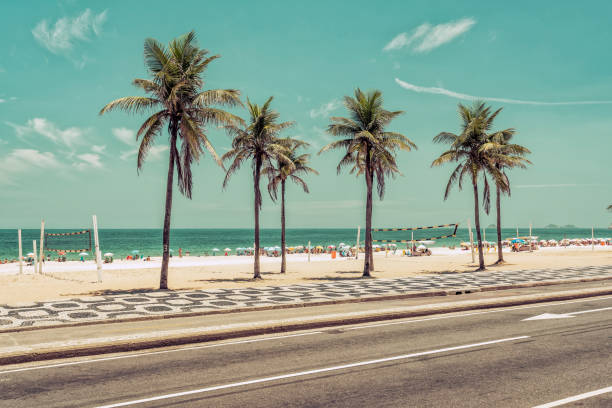 리오 데 자네이 루에서 ipanema 해변에서 손바닥과 화창한 날 - rio de janeiro copacabana beach ipanema beach brazil 뉴스 사진 이미지