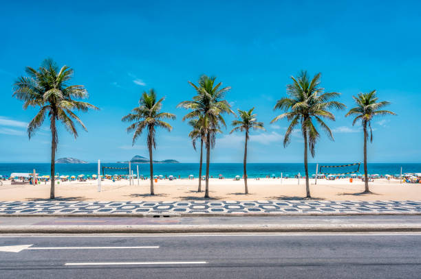 palmen am strand von ipanema mit blauem himmel, rio de janeiro - rio de janeiro copacabana beach ipanema beach brazil stock-fotos und bilder