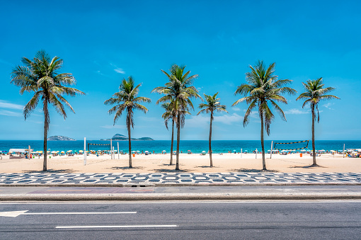 Palms on Ipanema Beach with blue sky, Rio de Janeiro