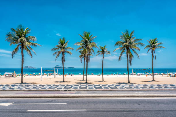 Palms on Ipanema Beach with blue sky, Rio de Janeiro Palms on Ipanema Beach with blue sky, Rio de Janeiro, Brazil. Famous mosaic boardwalk in front of palms rio de janeiro stock pictures, royalty-free photos & images