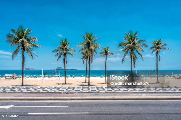 Palms On Ipanema Beach With Blue Sky Rio De Janeiro Stock Photo - Download Image Now