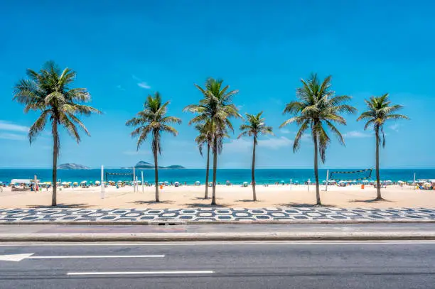 Palms on Ipanema Beach with blue sky, Rio de Janeiro, Brazil. Famous mosaic boardwalk in front of palms