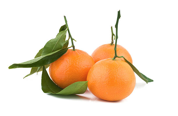 istock Orange fresh tangerines with a stem and leaves 91715806