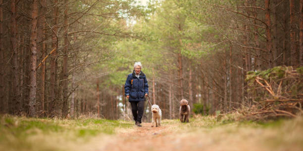 A woman and two dogs