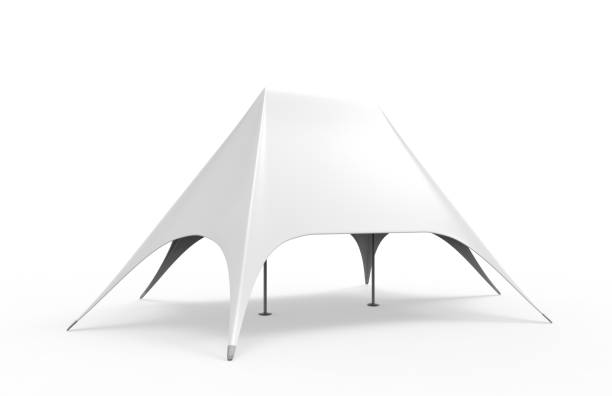 istock Pop Up Dome Spider Double Star Advertising White Blank Event Tent. 3d render illustration. 917159564