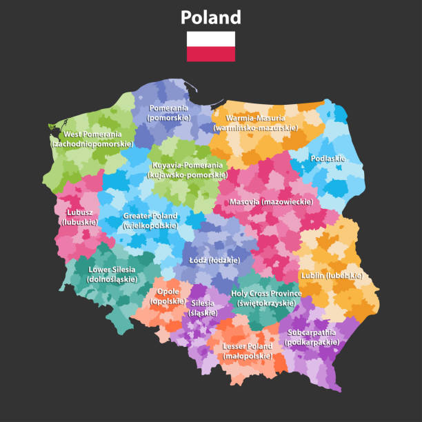 ilustrações de stock, clip art, desenhos animados e ícones de vector map of poland provinces(known as voivodeships) with administrative divisions. polish names gives in parentheses, where they differ from the english ones. - malopolskie province