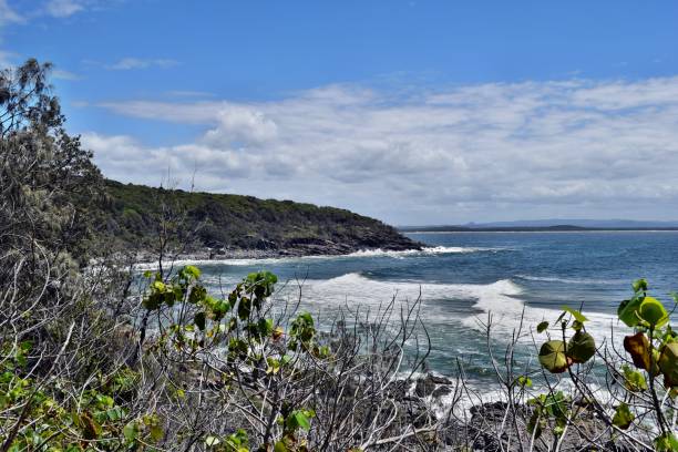 istock Noosa National Park 917164112