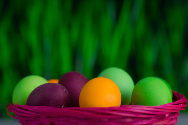 Easter colorful eggs in basket closeup, blur green floral background