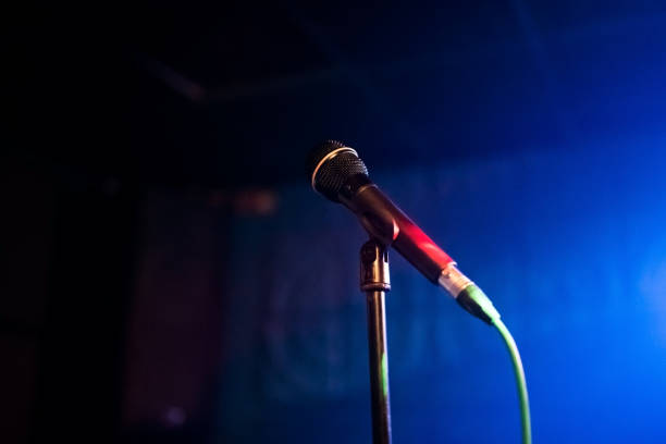 istock Microphone on a stand in the club 917169758