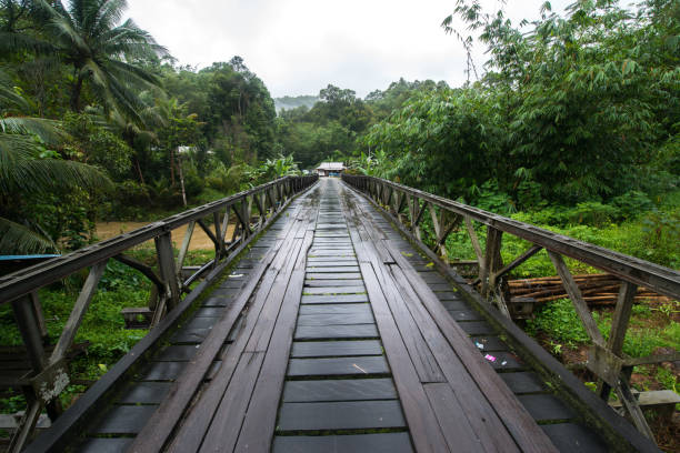 estrada de madeira, malásia - iban tribe - fotografias e filmes do acervo