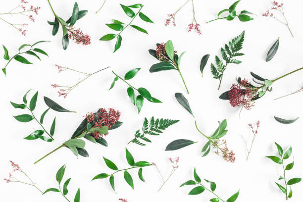 istock Pattern made of tropical flowers, leaves. Flat lay, top view 917171208