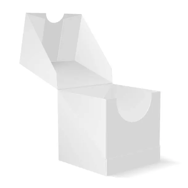 Vector illustration of mock up of the packing box. A box with an open lid in perspective. 3d illustration. Vector Image.