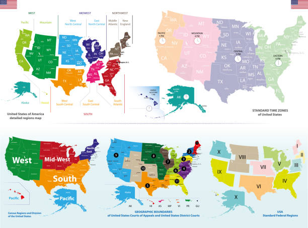 wektor wysoka szczegółowa mapa stanów zjednoczonych - map cartography washington dc tennessee stock illustrations