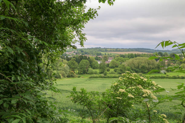 istock Darent Valley in Kent, England 917175094