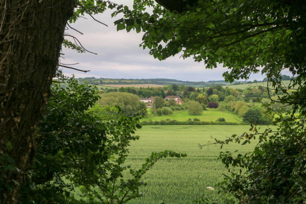 istock Darent Valley in Kent, England 917175116