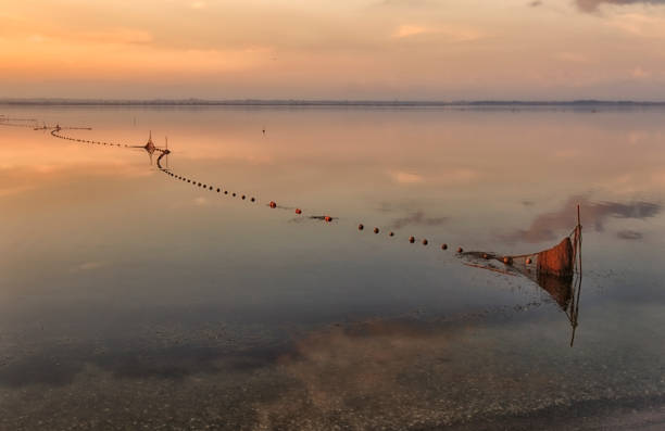 Floats of eel fishing nets - twilight - Pond of Canet Saint Nazaire - France.