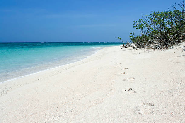 istock desert island beach footprints background philippines 91717664