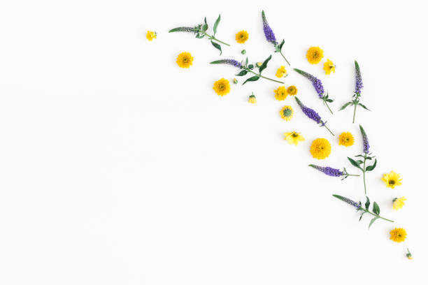 istock Yellow, purple flowers and eucalyptus branches. Flat lay, top view 917177432