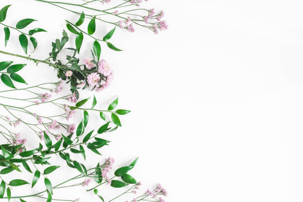 istock Pink flowers and green leaves. Flat lay, top view 917177576
