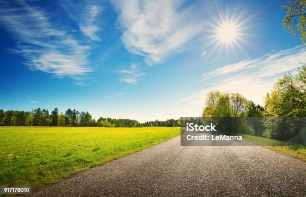 Road Panorama On Sunny Spring Day Stock Photo - Download Image Now - Road, Sunny, Summer